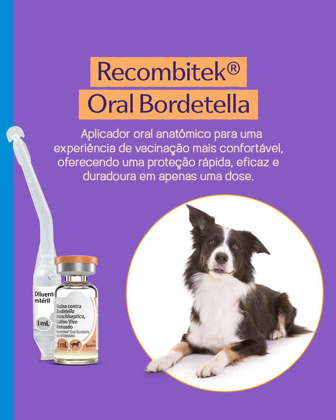 Linha Recombitek® | Boehringer Ingelheim BR
